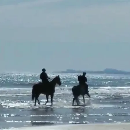 Apartment Salto De Dune